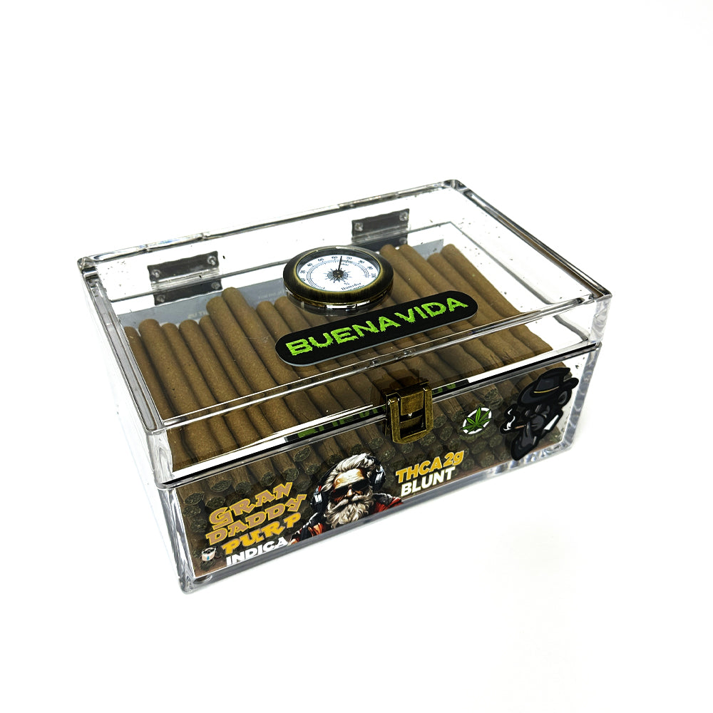 BUENA VIDA Premium Humidor THCA 2g Blunt - 100ct Display Case