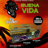 BUENA VIDA Premium Humidor THCA 2g Blunt - 100ct Display Case